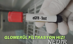 Glomerül Filtrasyon Hızı Nedir