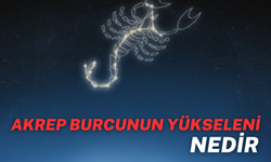 Akrep Burcunun Yükseleni Nedir