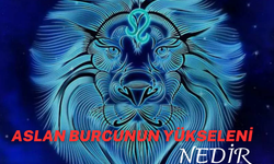 Aslan Burcunun Yükseleni Nedir