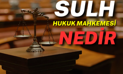 Sulh Hukuk Mahkemesi Nedir