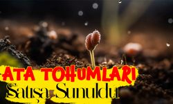 Ata Tohumları Satışa Sunuldu