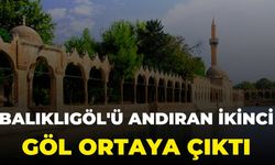 Balıklıgöl'ü Andıran İkinci Göl Ortaya Çıktı