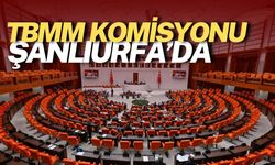 Bireysel Silahlanma ve Kadına Şiddet! TBMM Komisyonu Şanlıurfa’da Toplanıyor