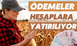 Çiftçilerin Destekleme Ödemeleri Hesaplara Yatırılıyor