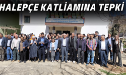 DEM Parti Viranşehir’den Halepçe Katliamına Tepki!