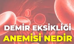 Demir Eksikliği Anemisi Nedir