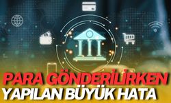 ‘Diğer' Seçeneği ile Para Gönderenlere Şok