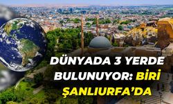 Dünyada 3 Yerde Bulunuyor: Biri Şanlıurfa’da