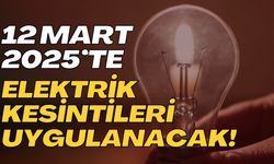 Şanlıurfa'da 12 Mart 2025 Tarihinde Elektrik Kesintisi Yaşanacak!