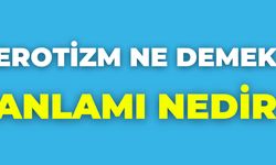 Erotizm Ne Demek Anlamı Nedir