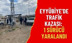 Şanlıurfa Eyyübiye’de Trafik Kazası: 1 Sürücü Yaralandı