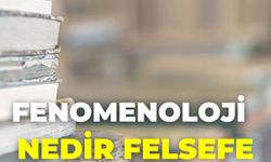 Fenomenoloji Nedir Felsefe