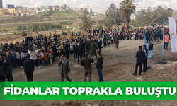 Şanlıurfa'da Yüzlerce Fidan Toprakla Buluştu