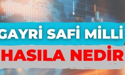 Gayri Safi Milli Hasıla Nedir