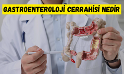 Gastroenteroloji Cerrahisi Nedir