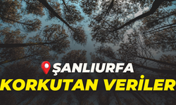 Şanlıurfa’da “Yeşil” Alarm! Seferberlik Başladı