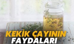 Hem Baharat Hem Şifa Kaynağı; Kekik