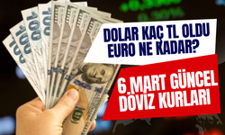 Dolar Kaç TL Oldu, Euro Ne Kadar? 6 Mart Güncel Döviz Kurları