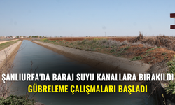 Şanlıurfa'da Baraj Suyu Kanallara Bırakıldı, Gübreleme Çalışmaları Başladı