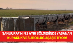 Şanlıurfa’nın 2 Ayrı Bölgesinde Yaşanan Kuraklık ve Su Bolluğu Şaşırtıyor!