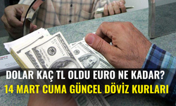 Dolar Kaç TL Oldu, Euro Ne Kadar? 14 Mart Cuma Güncel Döviz Kurları