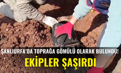 Şanlıurfa’da Toprağa Gömülü Olarak Bulundu! Ekipler Şaşırdı