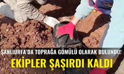 Şanlıurfa’da Toprağa Gömülü Olarak Bulundu! Ekipler Şaşırdı Kaldı