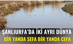 Şanlıurfa’da İki Ayrı Dünya: Bir Yanda Sefa Bir Yanda Cefa