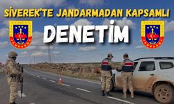 Siverek’te Jandarmadan Kapsamlı Denetim