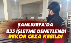 Şanlıurfa'da 833 İşletme Denetlendi: Rekor Ceza Kesildi