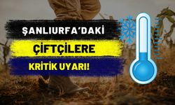 Şanlıurfa İl Tarım ve Orman Müdürlüğü'nden Zirai Don ve Soğuk Hava Uyarısı!