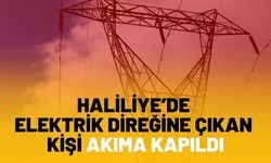 Haliliye’de Elektrik Direğine Çıkan Kişi Akıma Kapıldı