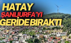 Hatay’ın Tescilli Ürünü Şanlıurfa’yı Geride Bıraktı