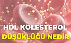 Hdl Kolesterol Düşüklüğü Nedir