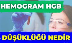 Hemogram Hgb Düşüklüğü Nedir