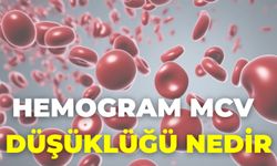 Hemogram Mcv Düşüklüğü Nedir