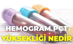 Hemogram Pct Yüksekliği Nedir