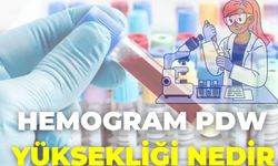 Hemogram Pdw Yüksekliği Nedir