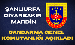 Jandarma Genel Komutanlığı Açıkladı: Şanlıurfa, Mardin ve Diyarbakır Da Var