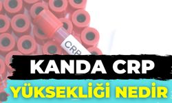 Kanda Crp Yüksekliği Nedir