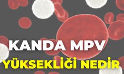 Kanda Mpv Yüksekliği Nedir