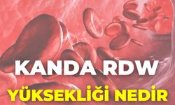 Kanda Rdw Yüksekliği Nedir