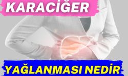 Karaciğer Yağlanması Nedir