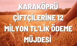 Şanlıurfa’daki Çiftçilere 12 Milyon TL'lik Hububat Desteği Müjdesi!