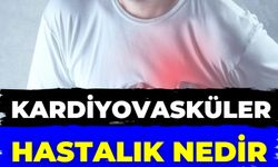 Kardiyovasküler Hastalık Nedir