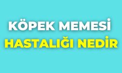Köpek Memesi Hastalığı Nedir