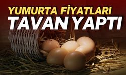 Kuş Gribi Sonrası Yumurta Fiyatları Tavan Yaptı