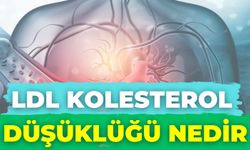 Ldl Kolesterol Düşüklüğü Nedir