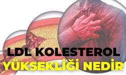 Ldl Kolesterol Yüksekliği Nedir