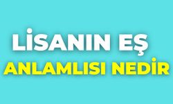 Lisanın Eş Anlamlısı Nedir